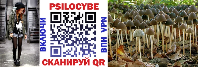 хочу   Усть-Лабинск  Псилоцибиновые грибы ЛСД 